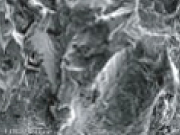 アルミナ電子顕微鏡写真