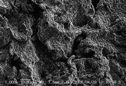  />Wet Blast Phosphating system／SEM Surface