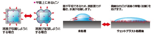 ピンニング概念図